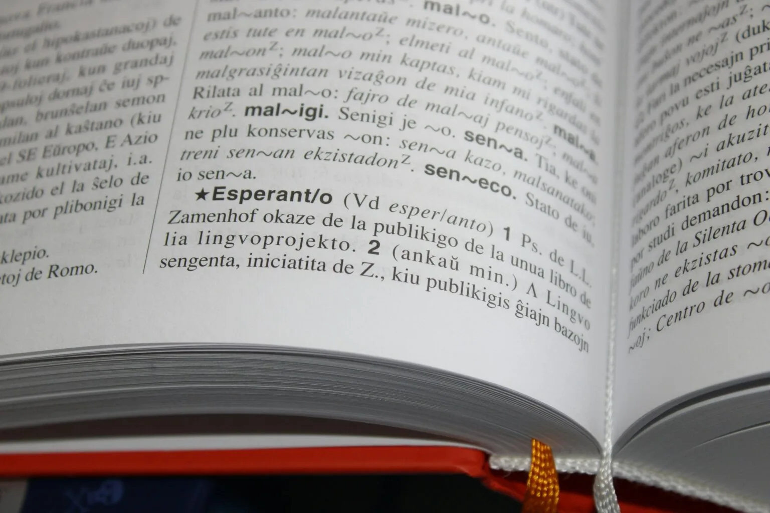 bahasa gaul berkembang